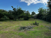 Satılır 13 sot torpaq Zaqatala