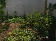 Satılır 3 otaqlı 90 m2 həyət evi Maştağa