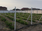 Satılır 15 sot torpaq Pirşağı