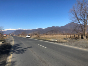 Satılır 60 sot torpaq Zaqatala