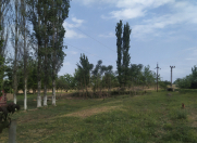 Satılır 2700 sot torpaq Beyləqan