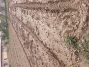 Satılır 18 sot torpaq Naxçıvan