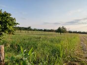 Satılır 69 sot torpaq Zaqatala