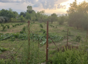 Satılır 6 sot torpaq Astara