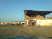 Satılır 7700 sot torpaq Sabirabad