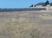 Satılır 35 sot torpaq Albalı