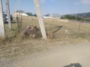 Satılır 8 sot torpaq Göygöl