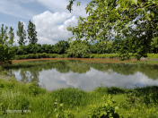 Satılır 2000 sot torpaq Zaqatala