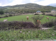 Satılır 15 sot torpaq Quba