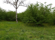 Satılır 44 sot torpaq Oğuz