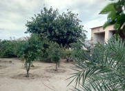 İcarəyə verilir 4 otaqlı 140 m2 bağ evi Bilgəh