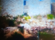 Satılır 3 sot torpaq Binə