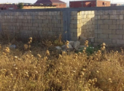 Satılır 6 sot torpaq Cəlilabad