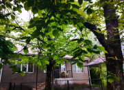 İcarəyə verilir 2 otaqlı 60 m2 həyət evi Zaqatala