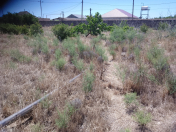 Satılır 0.6 sot torpaq Qala