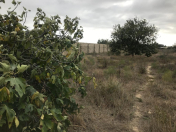 Satılır 11 sot torpaq Nardaran