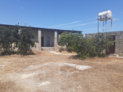 Satılır 2 otaqlı 70 m2 bağ evi Albalı