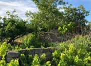 Satılır 6 sot torpaq Nardaran