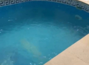 İcarəyə verilir 3 otaqlı 1 m2 bağ evi Bilgəh