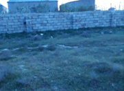 Satılır 2.5 sot torpaq Saray