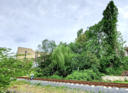 Satılır 17 sot torpaq Lənkəran