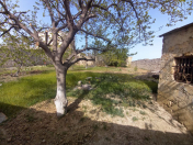 Satılır 5 sot torpaq Saray