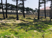 Satılır 6.5 sot torpaq Y.Ramana