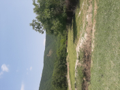 Satılır 10 sot torpaq Oğuz