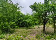 Satılır 4 sot torpaq İsmayıllı