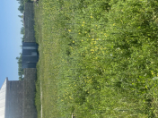 Satılır 8 sot torpaq Xudat