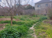 Satılır 4 sot torpaq Buzovna