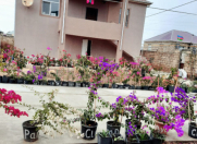 Satılır 6 otaqlı 156 m2 həyət evi Kürdəxanı