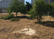 Satılır 6 otaqlı 240 m2 bağ evi Şüvəlan