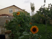 Satılır 4 otaqlı 120 m2 həyət evi Qobu