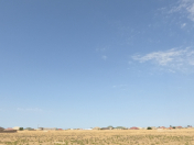 Satılır 200 sot torpaq Qala