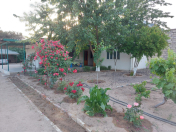 Satılır 4 otaqlı 2400 m2 bağ evi Mərdəkan