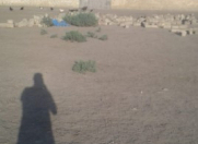 Satılır 6 sot torpaq Neftçala