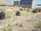 Satılır 5 sot torpaq Novxanı