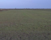 Satılır 15.4 sot torpaq Qobustan