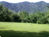 Satılır 130 sot torpaq Qəbələ