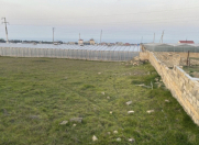 Satılır 5 sot torpaq Görədil
