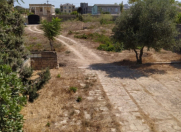 Satılır 25 sot torpaq Bilgəh