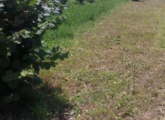 Satılır 0.14 sot torpaq Ağstafa