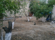 Satılır 5 otaqlı 450 m2 həyət evi Rəsulzadə