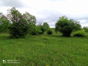 İcarəyə verilir 2 otaqlı 60 m2 köhnə tikili Qəbələ