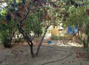 Satılır 5 otaqlı 12 m2 həyət evi Yevlax