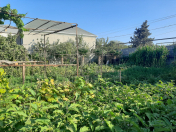 Satılır 2 sot torpaq Savalan