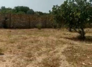 Satılır 12 sot torpaq Novxanı