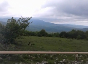 Satılır 36 sot torpaq İsmayıllı