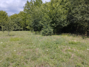 Satılır 68 sot torpaq Qəbələ